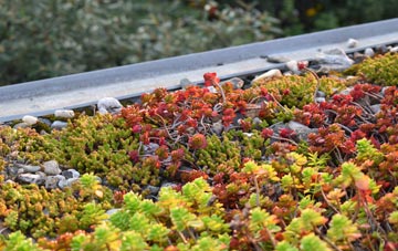 the cost of Oaks In Charnwood green roof installation