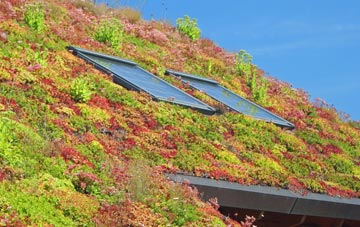 Oaks In Charnwood living roof systems